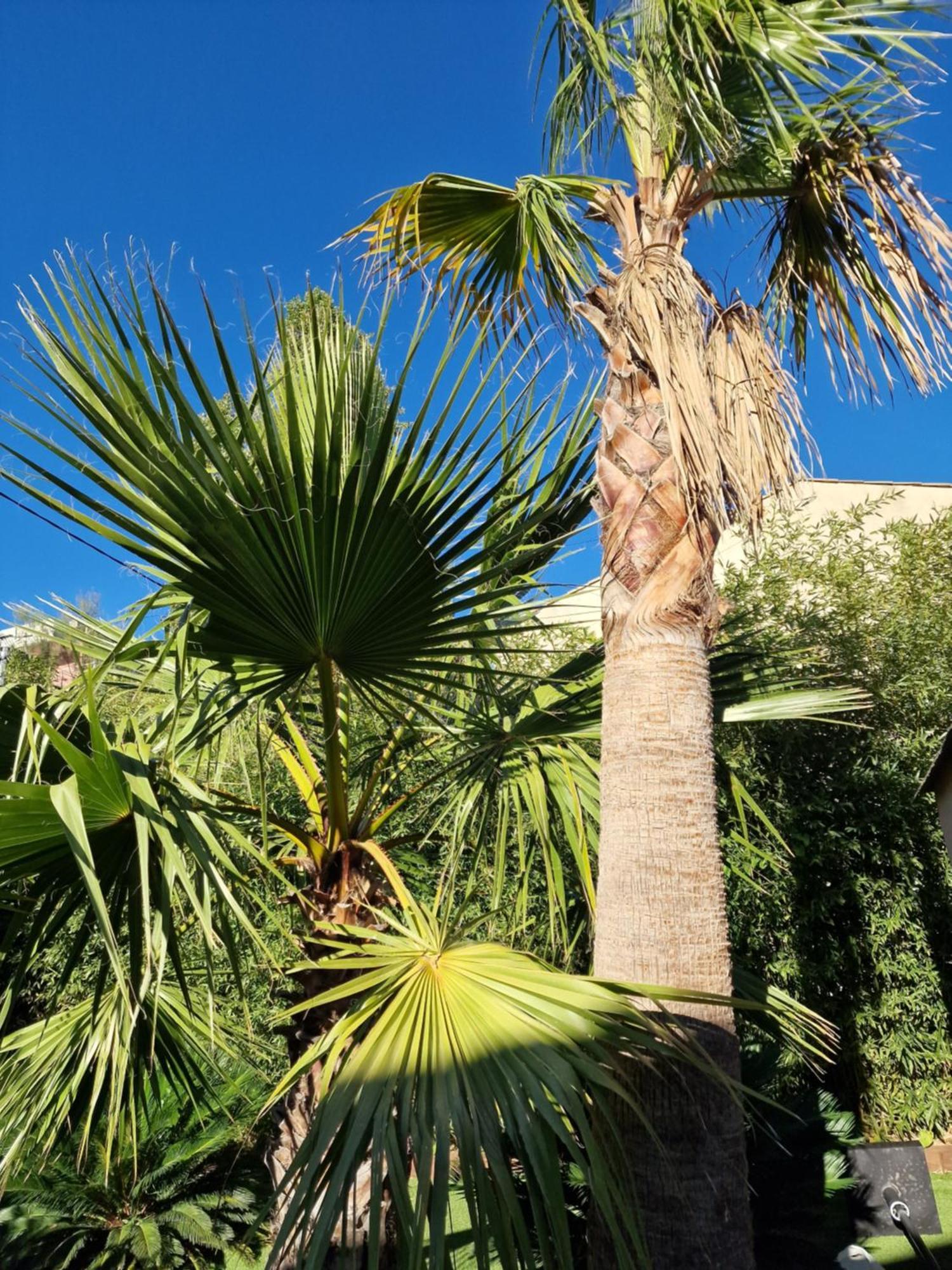 Haut De Villa A 700 Metres De La Plage, Totalement Independant Et Accessible Par Un Escalier Exterieur Sainte-Maxime Eksteriør bilde